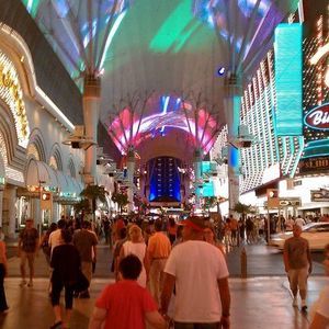 Meet your Posher, Harry